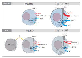 Agilent_AppBrief_Immunotherapy_J_fig_s