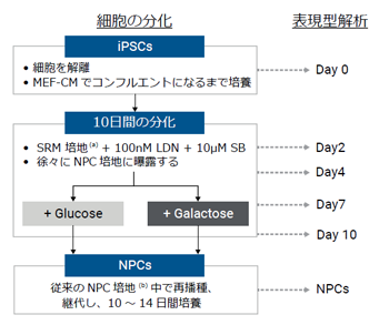 Agilent_application-glycolytic-suppression_fig_s