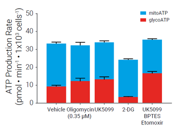 Agilent_whitepaper-quantify-atp-production-rate_J_fig_s