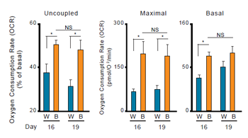 AppNote_Obesity_Diabetes_J_fig_s