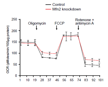 App_Note_Autophagy_J_fig_s