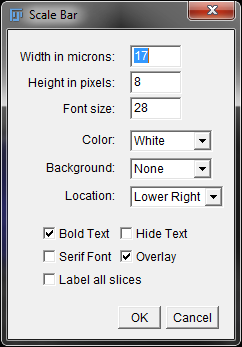 11_imagej-scale-bar-option-window