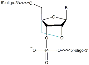 Locked nucleid acid - LNA