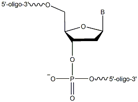 Unmodified DNA