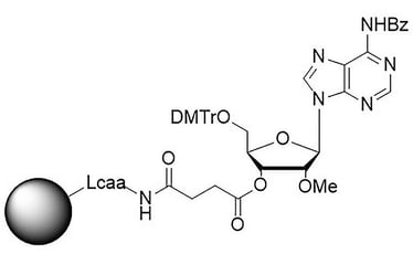 rA-Bz-2-OMe-CNA-CPG 2_1_2