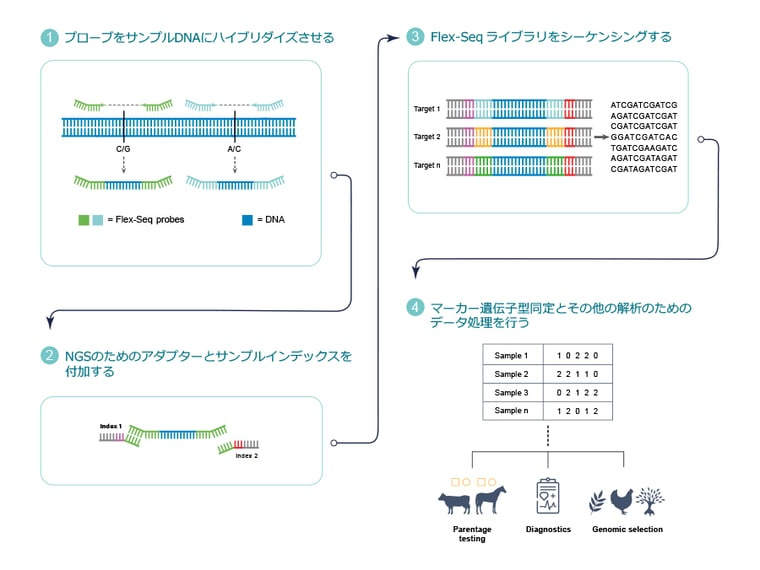 Flex-Seq technology_w900