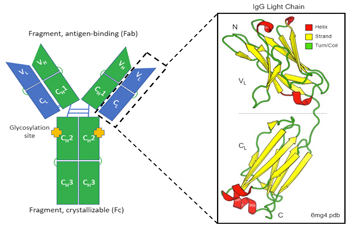 RedShift_AN-850-0128_fig_s