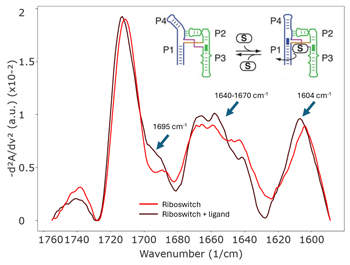 RedShift_AN-850-0142_fig_s