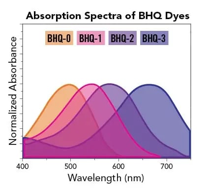 bhq-abs-curve