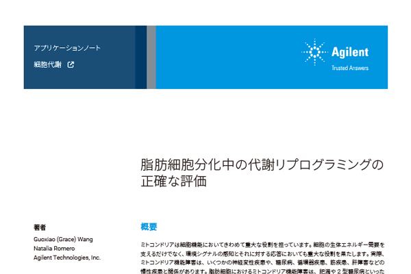 脂肪細胞分化中の代謝リプログラミングの正確な評価