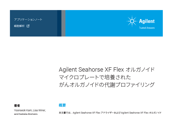 がんオルガノイドの代謝プロファイリング