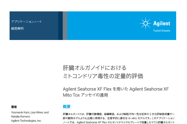 肝臓オルガノイドにおけるミトコンドリア毒性の定量的評価 