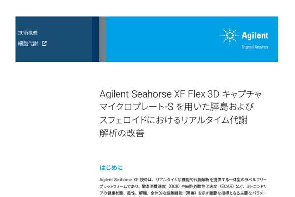 膵島およびスフェロイドにおけるリアルタイム代謝解析の改善
