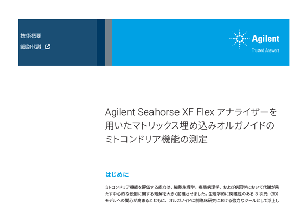 マトリックス埋め込みオルガノイドのミトコンドリア機能の測定