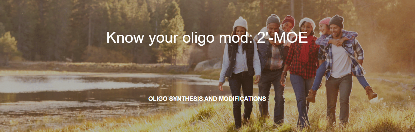 Know your oligo mod: 2ʹ-MOE