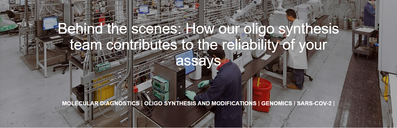  Behind the scenes: How our oligo synthesis team contributes to the reliability of your assays 